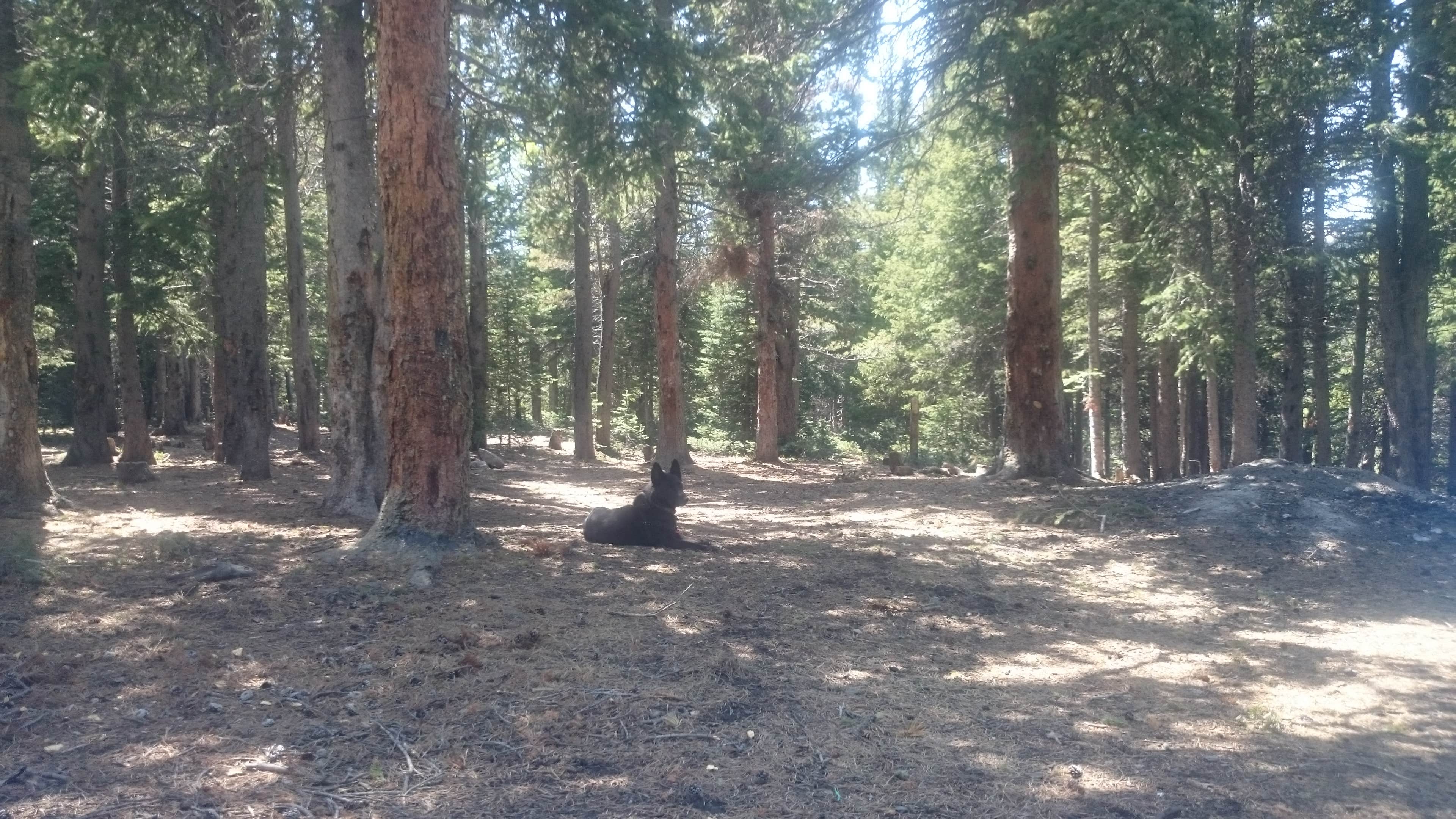 Camper submitted image from Rainbow Lakes Campground - 2