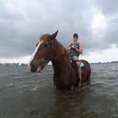 Review photo of Lake Manatee State Park Campground by Justin W., July 9, 2018