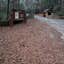 Review photo of Poinsett State Park Campground by Jessica M., January 16, 2022