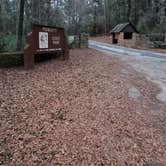 Review photo of Poinsett State Park Campground by Jessica M., January 16, 2022