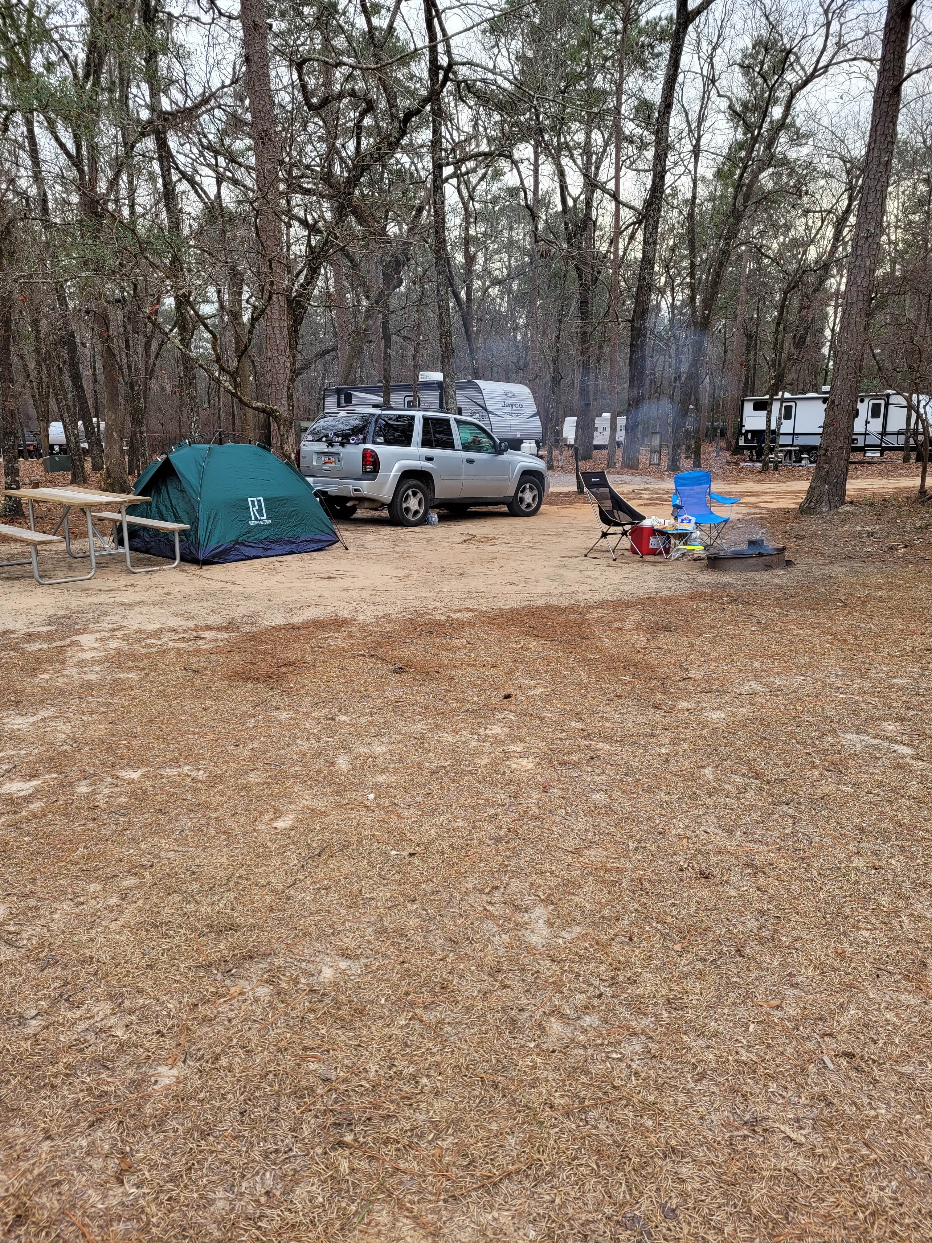 Jessica M.'s photo at Poinsett State Park Campground near Santee, SC
