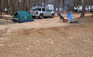 Jessica M.'s photo at Poinsett State Park Campground near Santee, SC