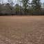 Review photo of Poinsett State Park Campground by Jessica M., January 16, 2022