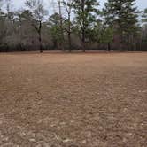 Review photo of Poinsett State Park Campground by Jessica M., January 16, 2022