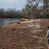 Review photo of Poinsett State Park Campground by Jessica M., January 16, 2022