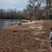 Review photo of Poinsett State Park Campground by Jessica M., January 16, 2022