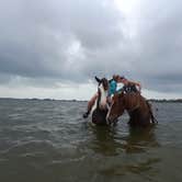 Review photo of Lake Manatee State Park Campground by Justin W., July 9, 2018