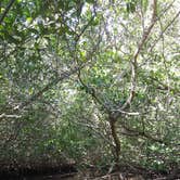 Review photo of Lake Manatee State Park Campground by Justin W., July 9, 2018