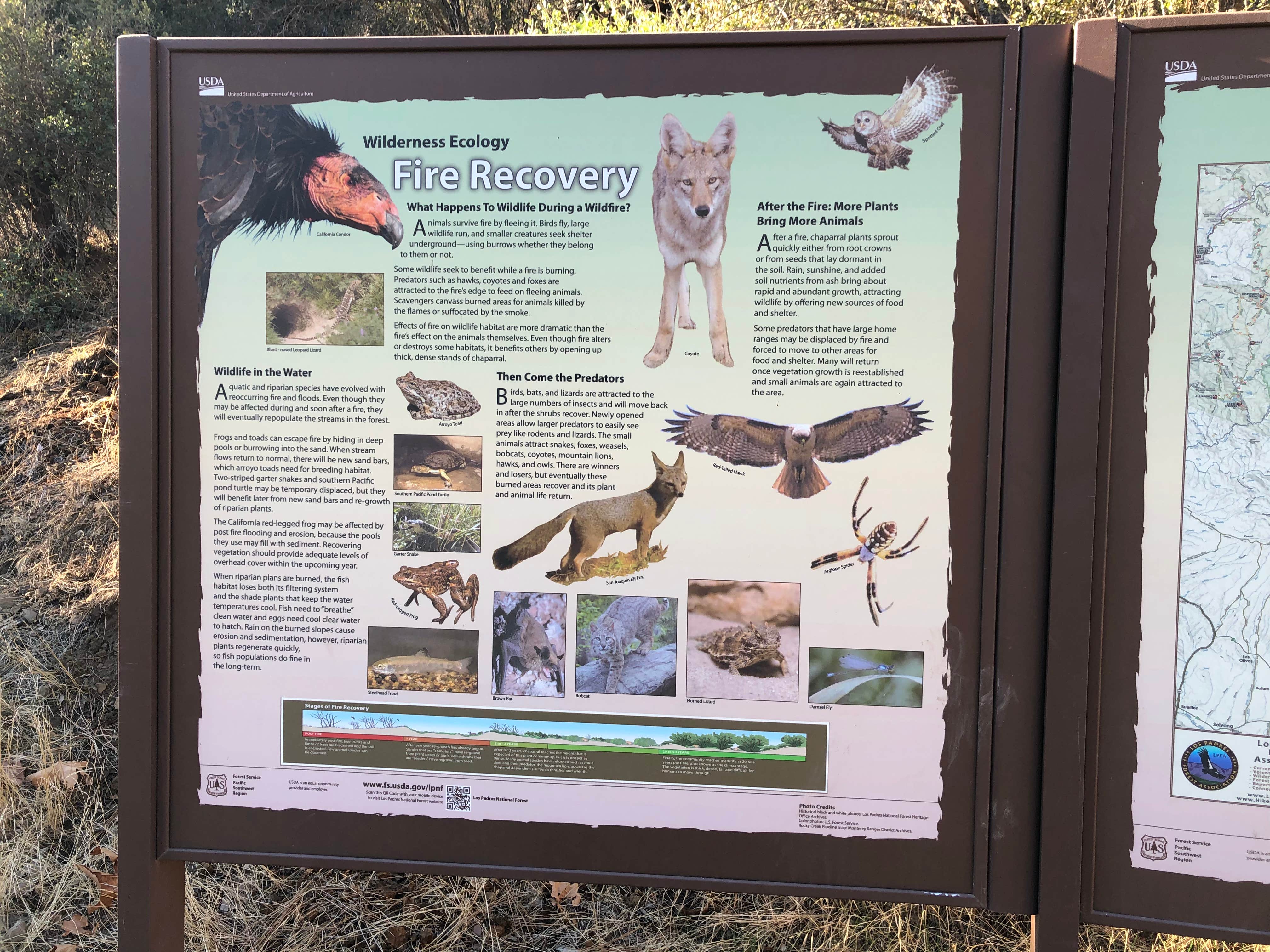 Katie H.'s photo of camping with pets at Nira Campground near Santa Maria, CA
