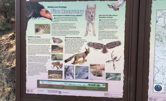 Katie H.'s photo of camping with pets at Nira Campground near Santa Maria, CA