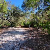 Review photo of Blue Spring State Park Campground by janet H., January 16, 2022