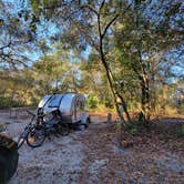 Review photo of Blue Spring State Park Campground by janet H., January 16, 2022
