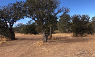 Camping near Guebara Tank Camp: West Mesa Trailhead BLM Dispersed, Capitan, New Mexico