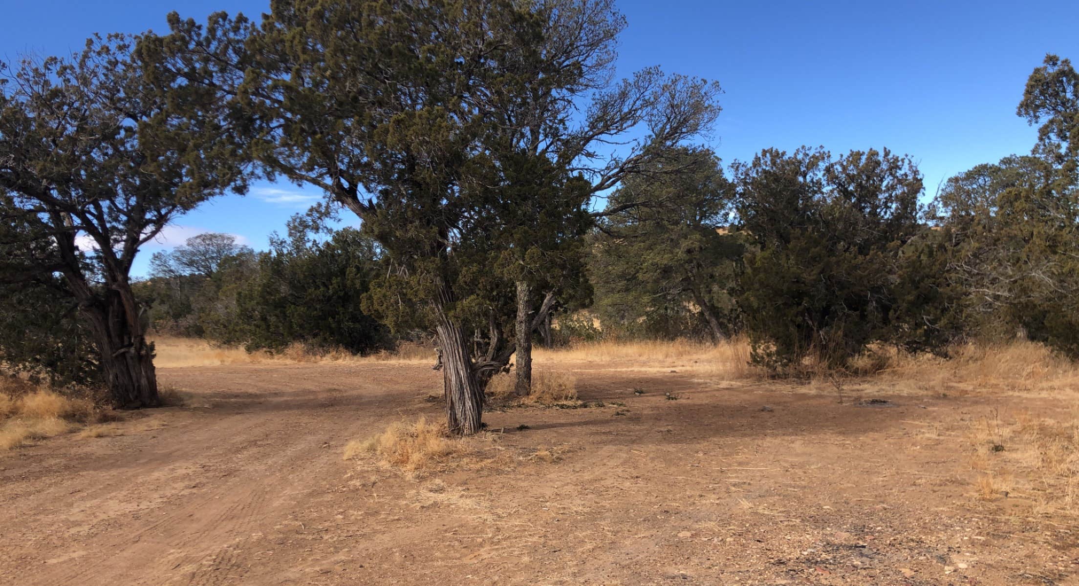 Camper submitted image from West Mesa Trailhead BLM Dispersed - 1