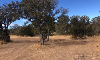 Camping near Fort Stanton Cave Campground: West Mesa Trailhead BLM Dispersed, Capitan, New Mexico