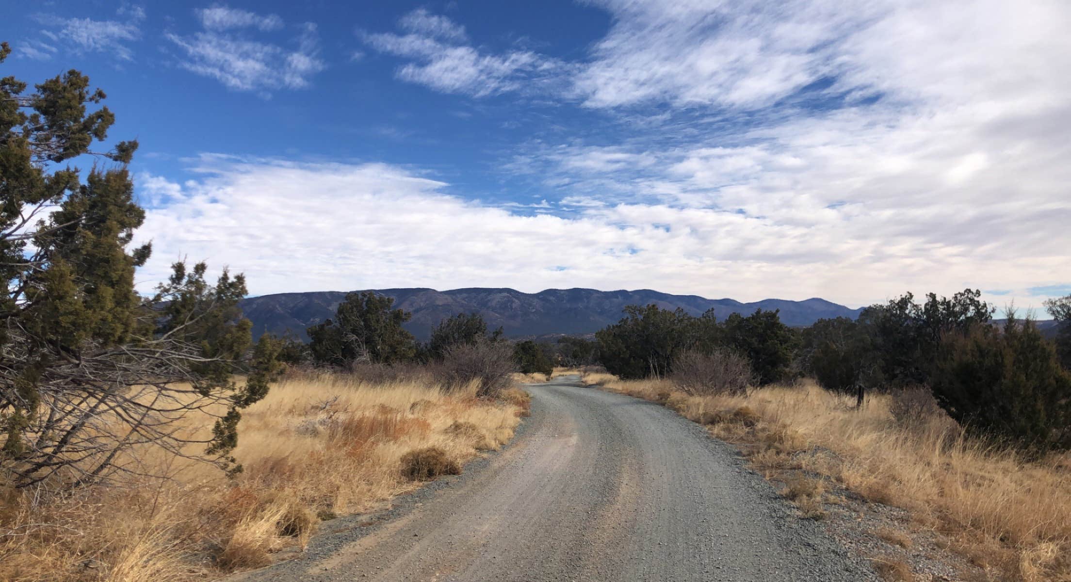 Camper submitted image from West Mesa Trailhead BLM Dispersed - 2