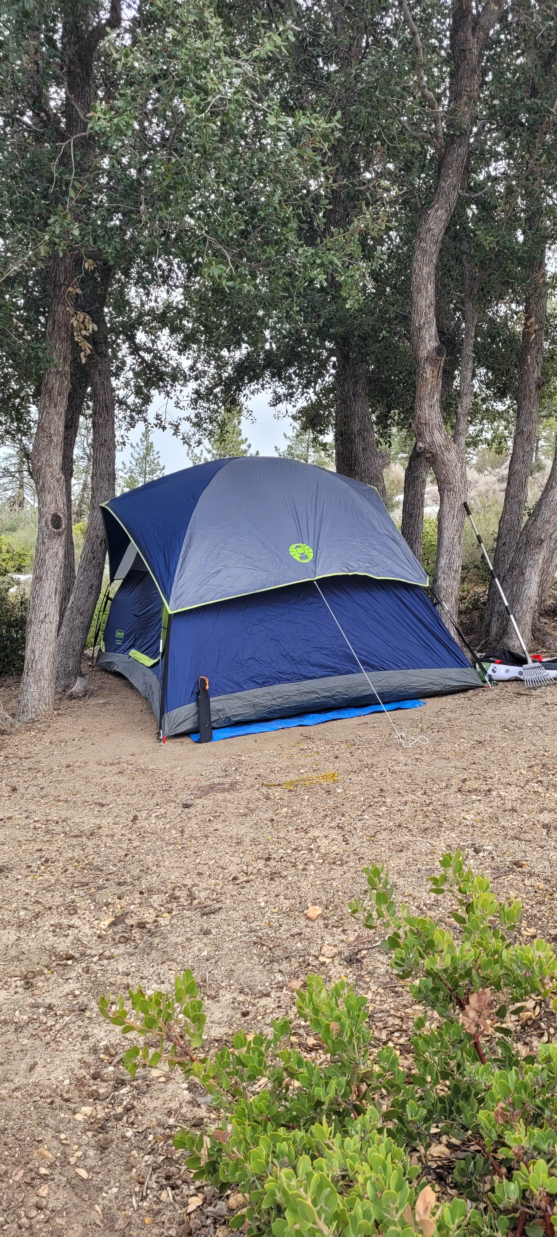 Andres P.'s photo at Little pine campground near Alhambra, CA