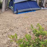 Review photo of Little pine campground by Andres P., January 16, 2022