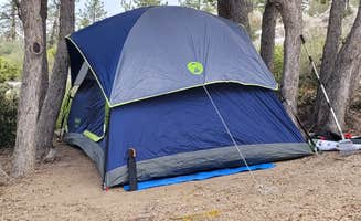 Andres P.'s photo at Little pine campground near Angeles National Forest