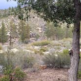Review photo of Little pine campground by Andres P., January 16, 2022
