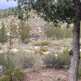 Review photo of Little pine campground by Andres P., January 16, 2022