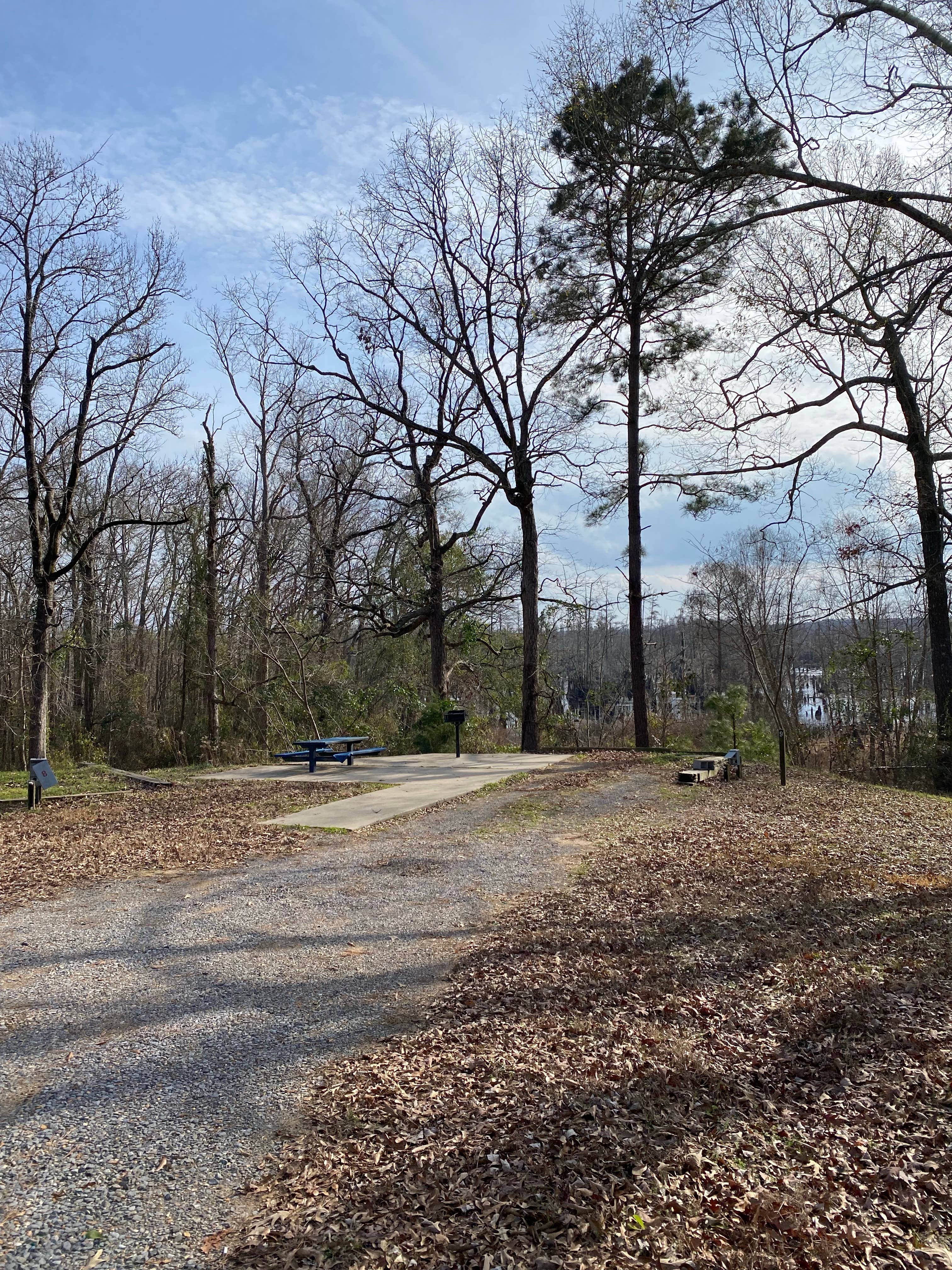 Camper submitted image from Cheniere Lake Park - 2