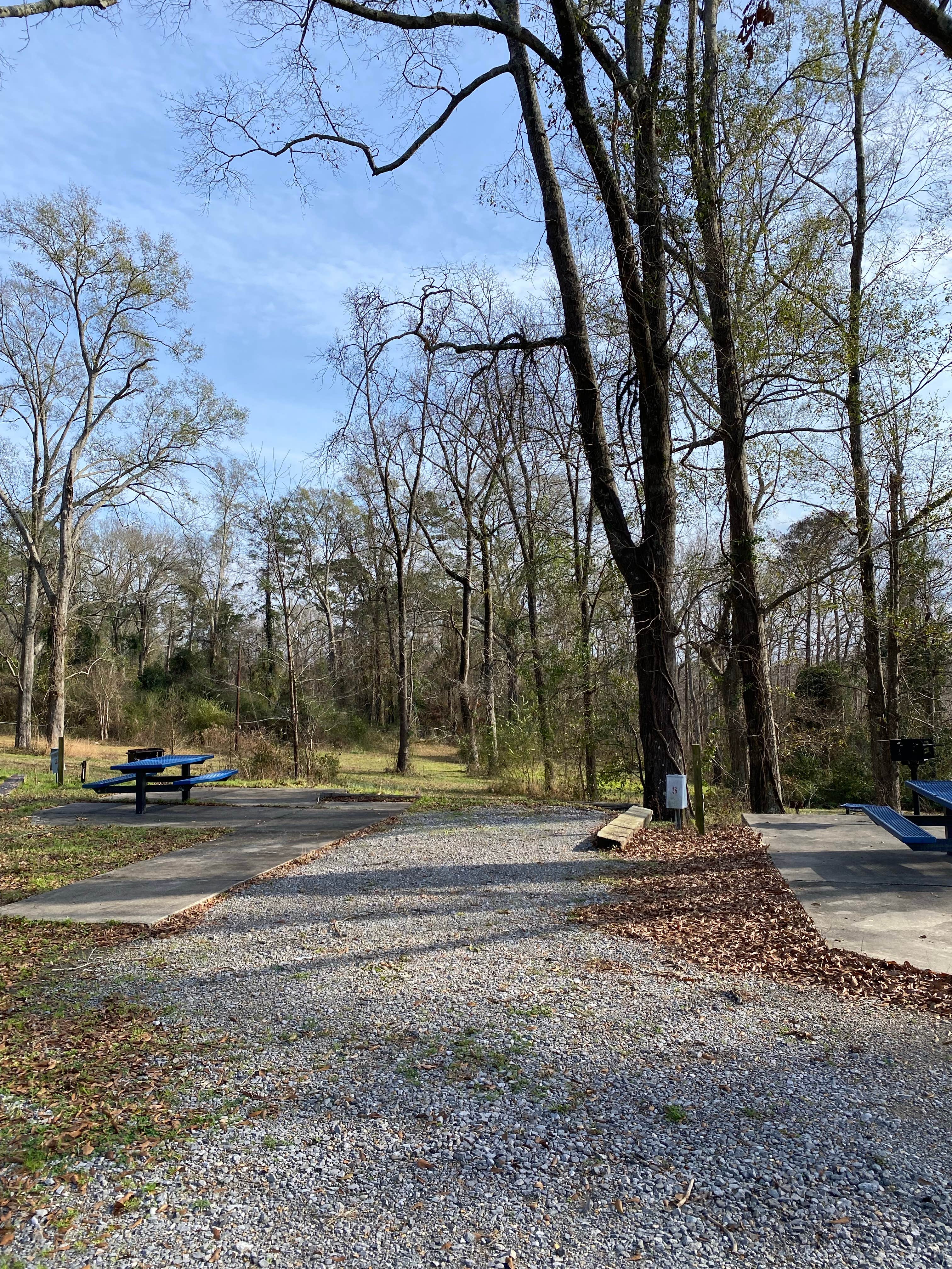 Camper-submitted photo at Cheniere Lake Park near West Monroe, LA