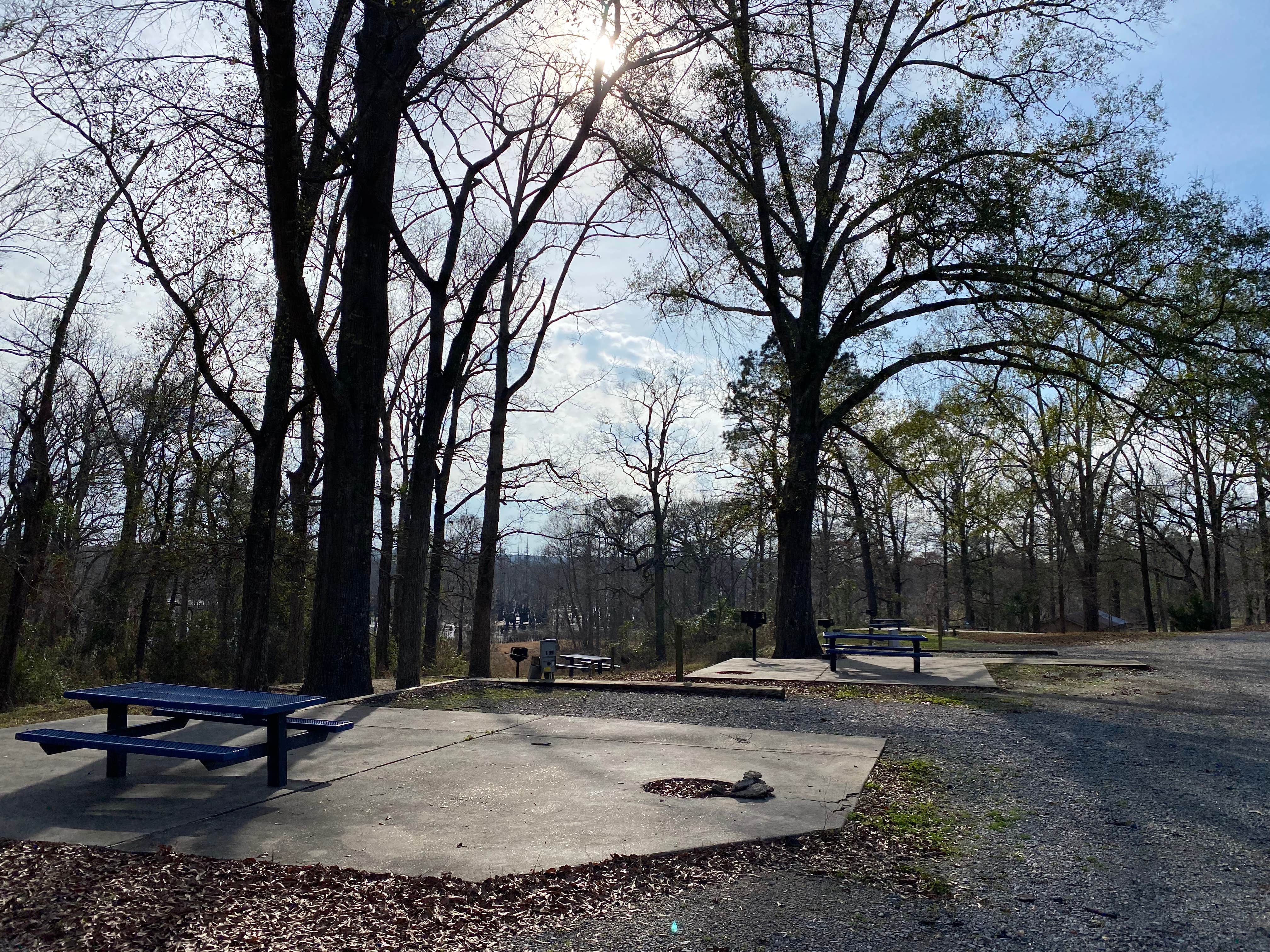 Camper-submitted photo at Cheniere Lake Park near West Monroe, LA