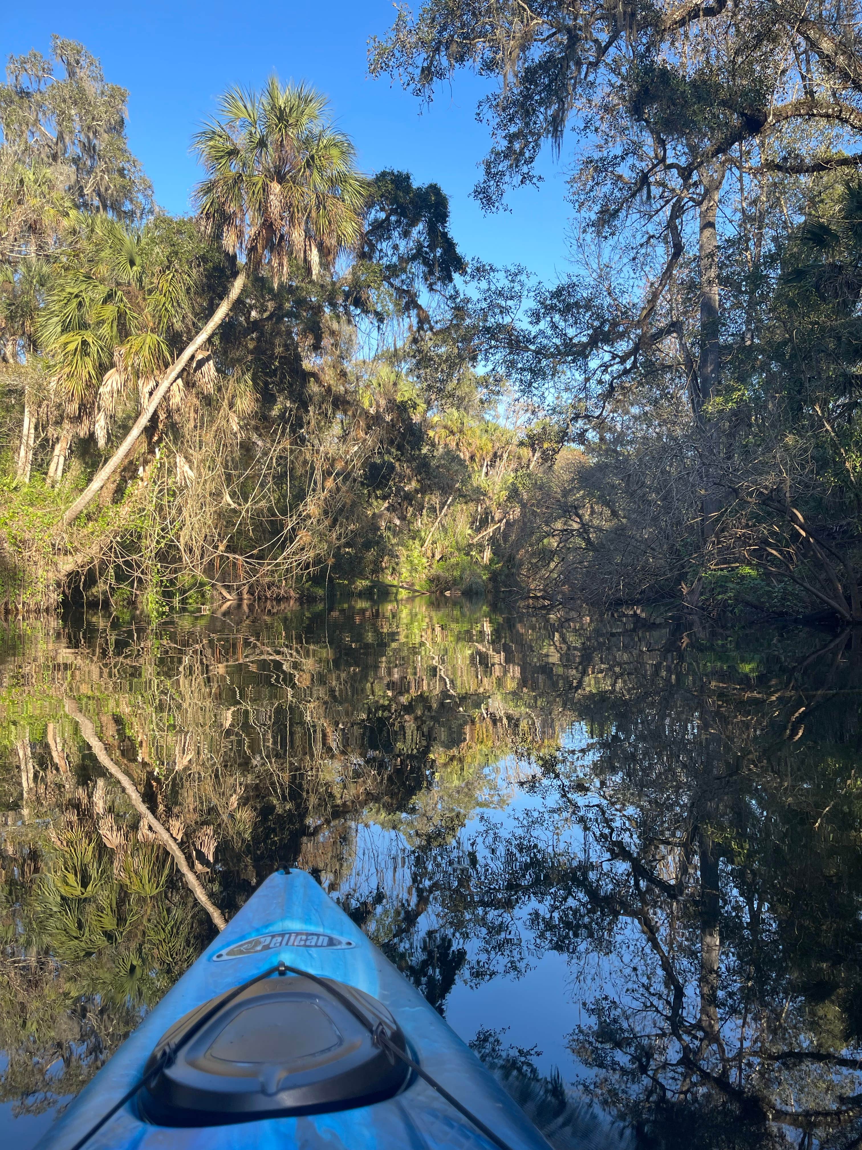 Aimee H.'s photo at Hillsborough River State Park Campground near Tampa, FL