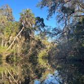 Review photo of Hillsborough River State Park Campground by Aimee H., January 17, 2022