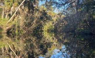 Aimee H.'s photo at Hillsborough River State Park Campground near Durant, FL