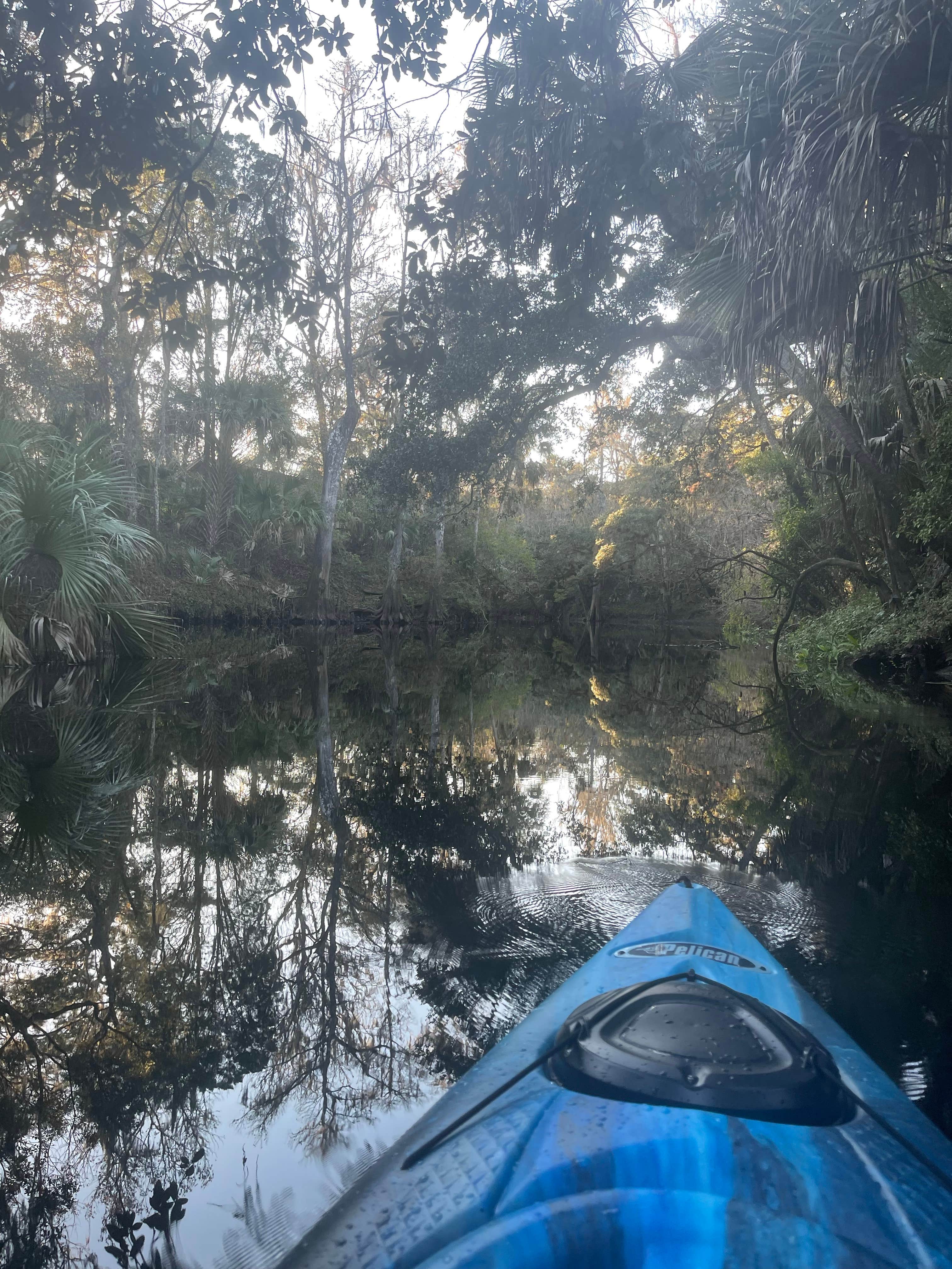 Aimee H.'s photo at Hillsborough River State Park Campground near Temple Terrace, FL