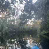 Review photo of Hillsborough River State Park Campground by Aimee H., January 17, 2022