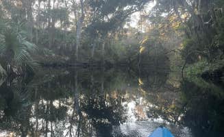 Aimee H.'s photo at Hillsborough River State Park Campground near Temple Terrace, FL