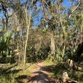 Review photo of Hillsborough River State Park Campground by Aimee H., January 17, 2022