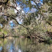 Review photo of Hillsborough River State Park Campground by Aimee H., January 17, 2022