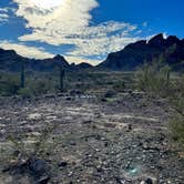 Review photo of Saddle Mountain BLM (Tonopah, AZ) by CC C., January 17, 2022