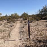 Review photo of West Pinal County Park by Greg L., January 17, 2022