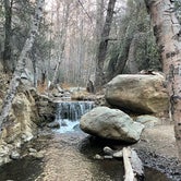 Review photo of Reyes Creek Campground by Jaime E., January 18, 2022