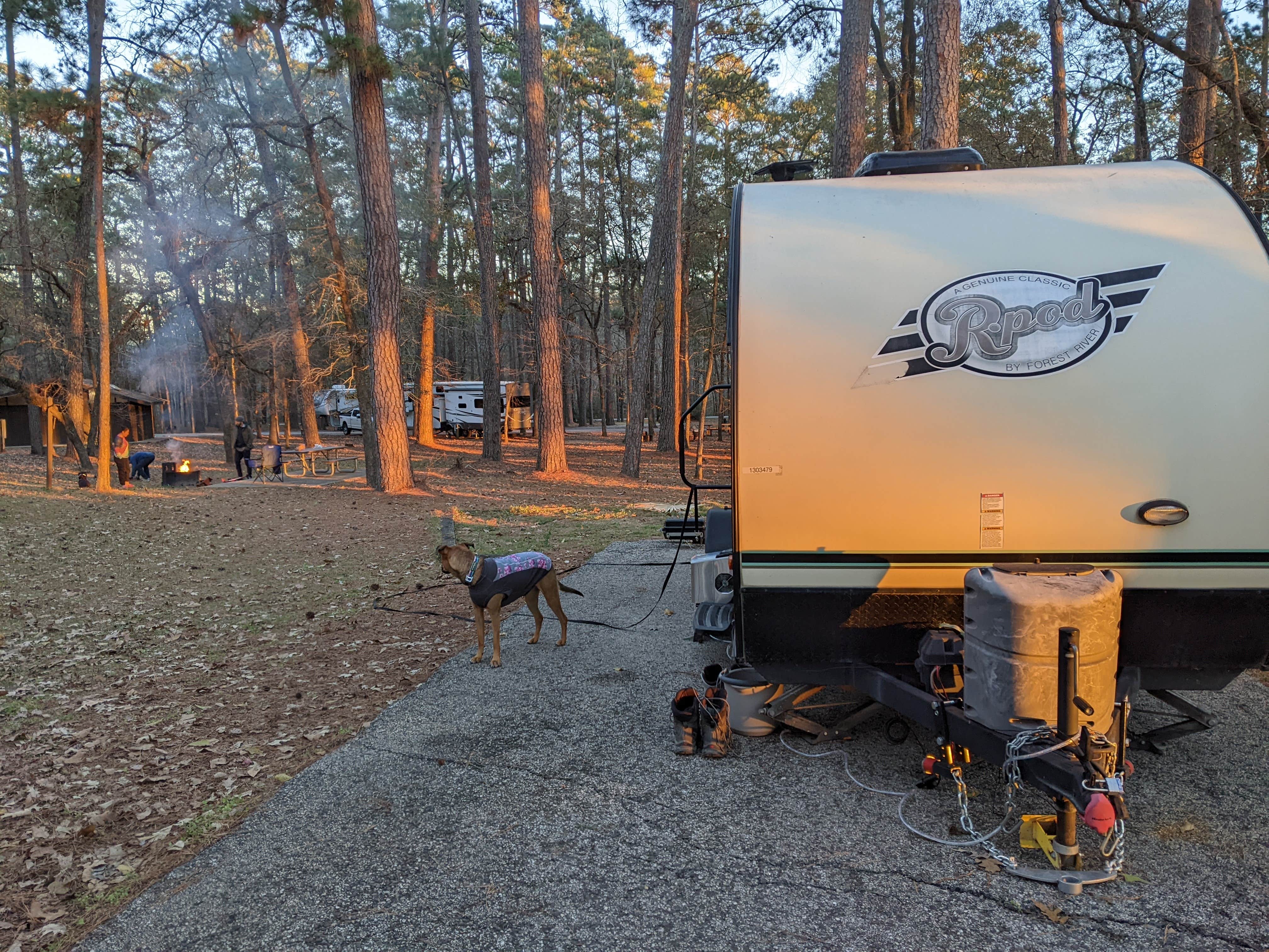 Laura F.'s photo of camping with pets at Cagle Recreation Area near Richards, TX