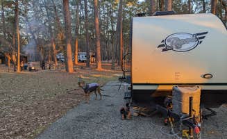 Laura F.'s photo of camping with pets at Cagle Recreation Area near Coldspring, TX