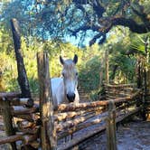 Review photo of Lake Kissimmee State Park Campground by Kathie E., January 18, 2022