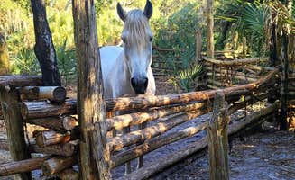 Kathie E.'s photo of camping with a horse at Lake Kissimmee State Park Campground near Winter Garden, FL
