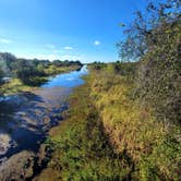 Review photo of Lake Kissimmee State Park Campground by Kathie E., January 18, 2022