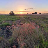 Review photo of Lake Kissimmee State Park Campground by Kathie E., January 18, 2022