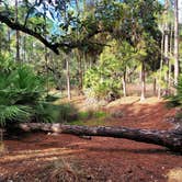 Review photo of Lake Kissimmee State Park Campground by Kathie E., January 18, 2022