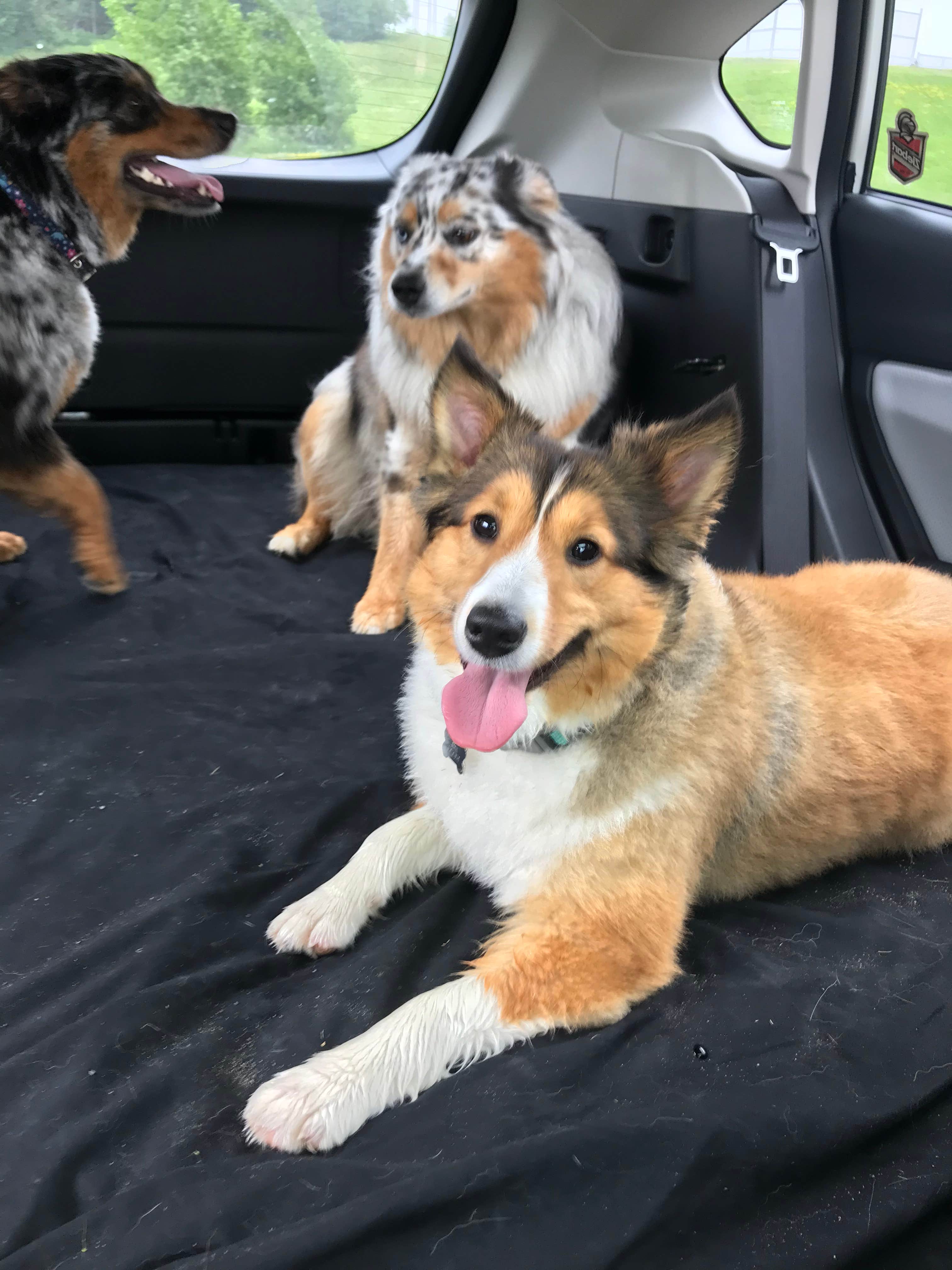 Camping near Black River Bay Campground: Fort Drum Recreation Area, Fort Drum, New York