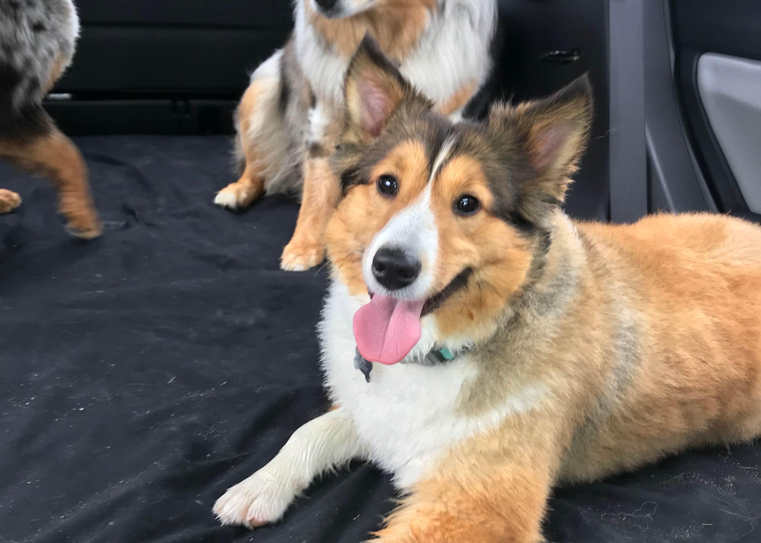 Fort Drum Recreation Area Camping The Dyrt