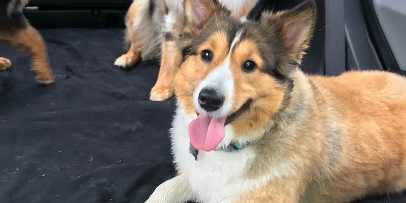 Camper submitted image from Fort Drum Recreation Area