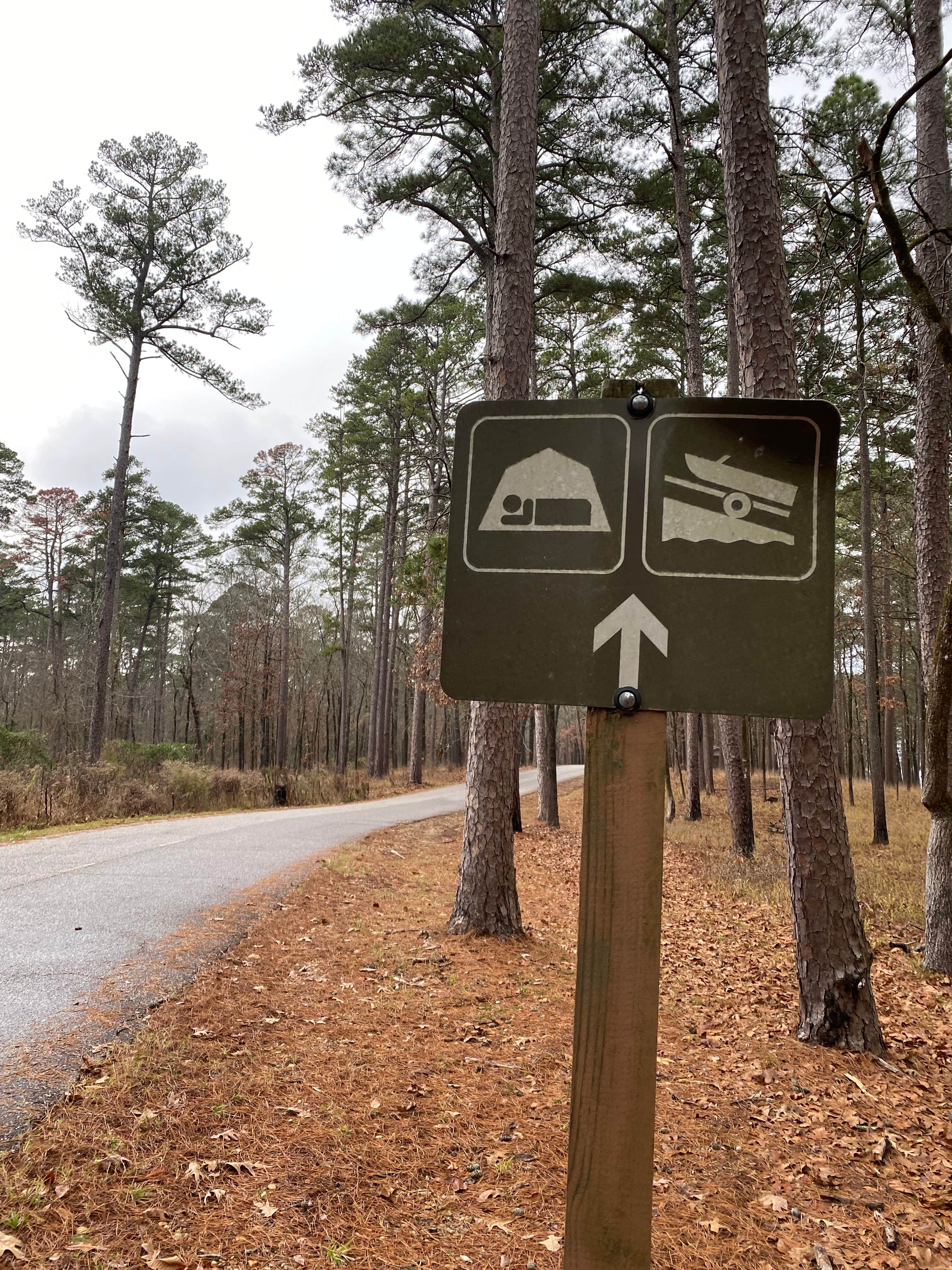 Camper submitted image from Caddo Drive - De Gray Lake - 3